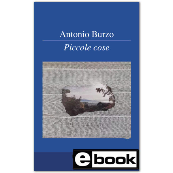 PICCOLE COSE EBOOK